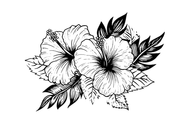 Hibiskusblüten in einer vintage-holzschnitt-radierung im stil einer vektorillustration