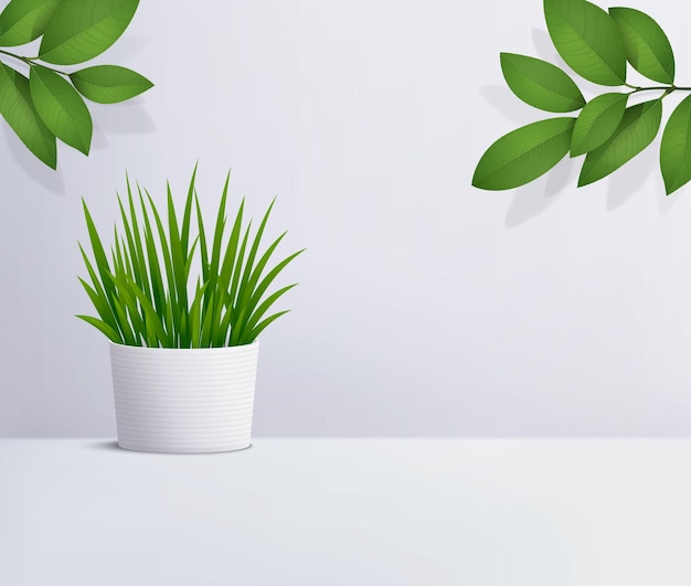 Hintergrund 3D abstrakte minimale Szene mit Blättern und Pflanzen Präsentation kosmetischer Produkte