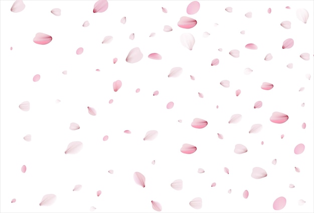 Hintergrund der sakura-blütenblätter vektor der kirschblütenblätter