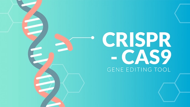 Hintergrund des CRISPR CAS9-Gens