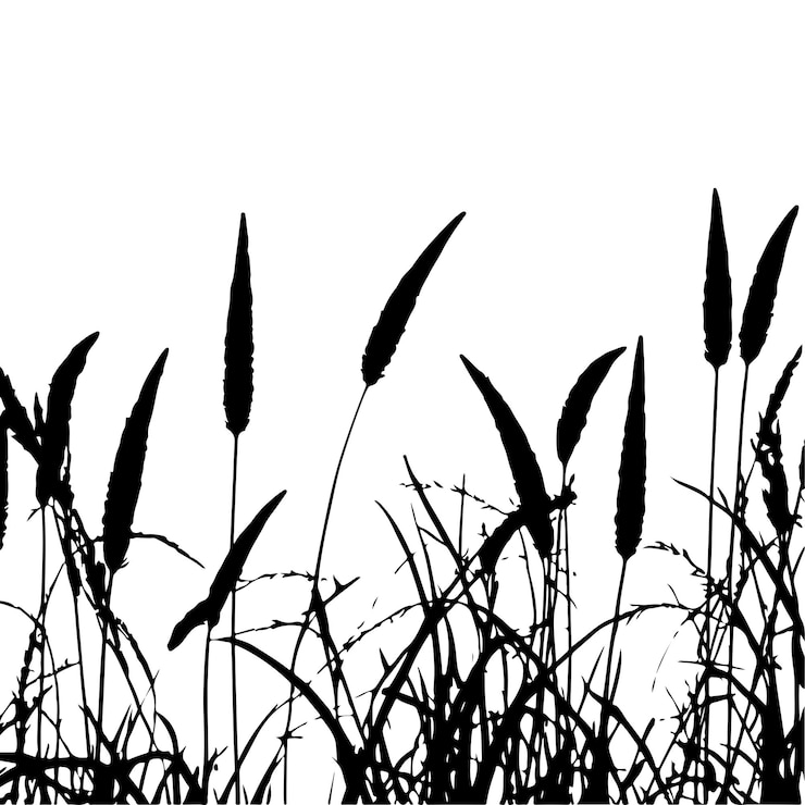 Vektor hintergrund des grasvektors