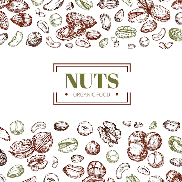 Hintergrund mit nüssen. cashew und walnuss, pistazien und haselnuss bio-lebensmittel-vektor-plakat-vorlage
