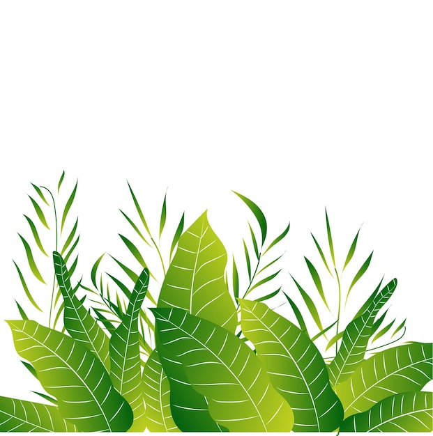 Hintergrund, Mit, Tropische, Blätter, Vektor, Kunst, Bestand, Illustration