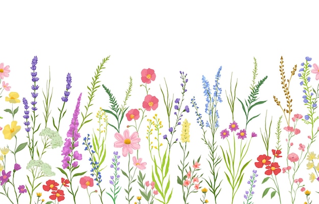 Hintergrund mit Wildblumen und Pflanzen nahtlos von rechts nach links