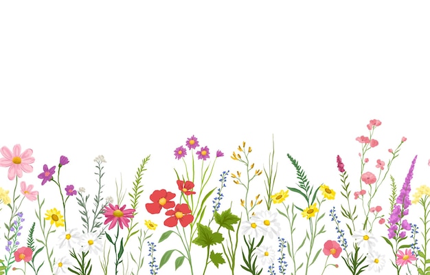 Hintergrund mit Wildblumen und Pflanzen nahtlos von rechts nach links