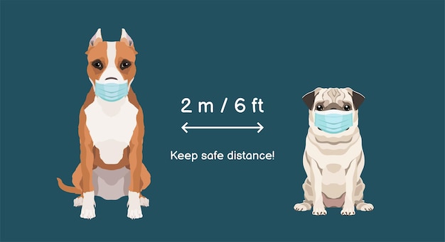 Hinweisschild zur verbreitung von coronavirus-infektionen mit american staffordshire und pug