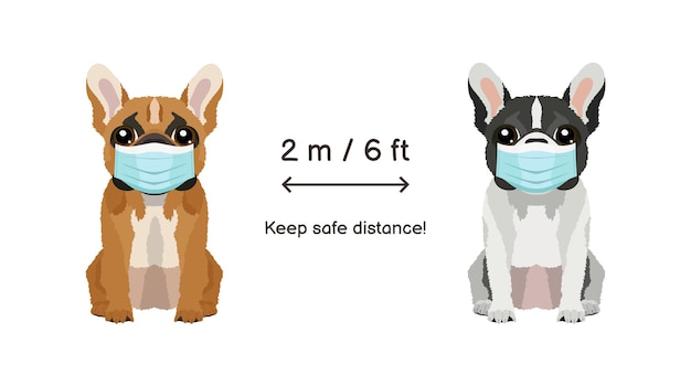Hinweisschild zur verbreitung von coronavirus mit zwei französischen bulldoggen, die eine medizinische gesichtsmaske tragen