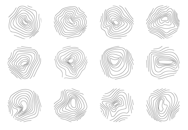 Holzringe Vektor-Set Kreis-Topographie-Karte Holztextur-Vektor Abstrakte Kreis-Baum-Hintergrund