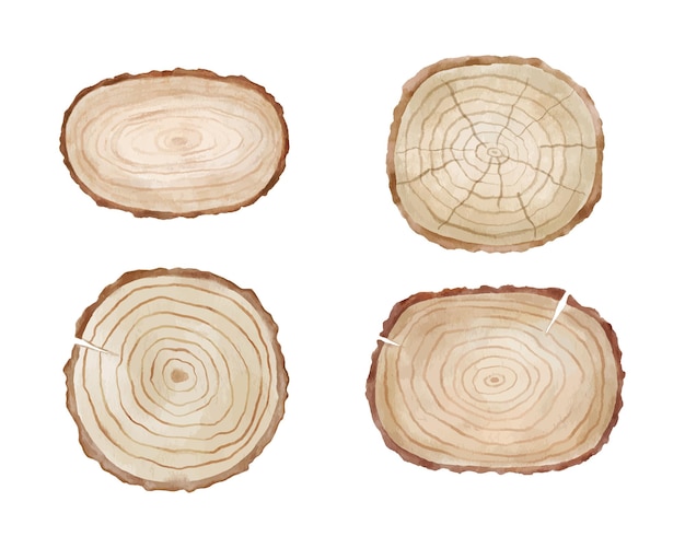 Holzrunde und rechteckige Tafel auf Baum mit Textur Aquarell-Illustration isoliert auf Weiß