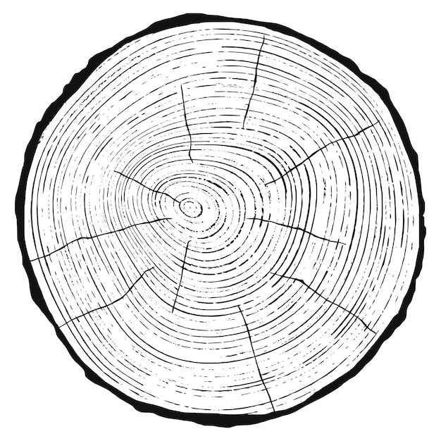 Vektor holzschnitt, vektorillustration, baumringemuster, grautöne