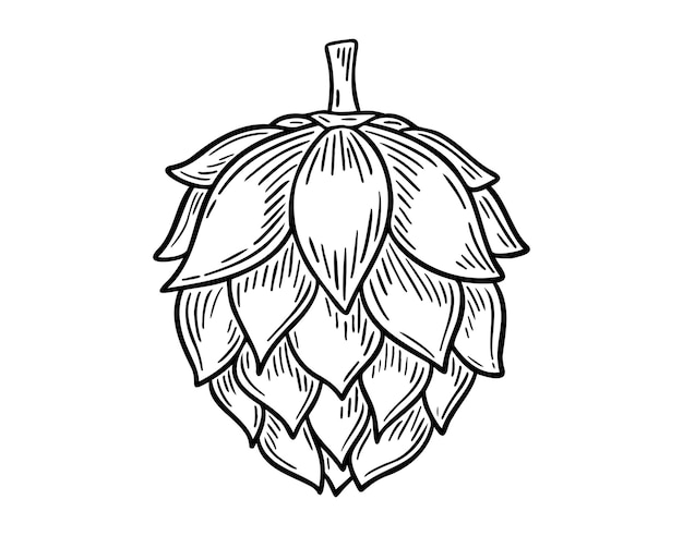 Hopf für Etiketten und Verpackungen Hopf-Symbol Handgezeichneter Umriss Zeichnung Hopf-Linie Clipart-Simbol