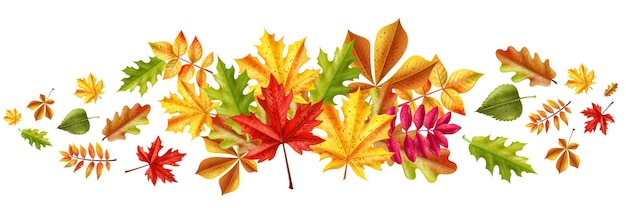 Horizontale Darstellung des realistischen Herbstes