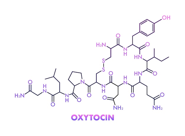 Hormon der chemischen formel oxytocin der liebe vektorvorratillustration