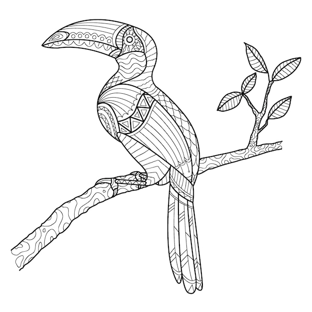 Vektor hornbill coloring page hand gezeichnet