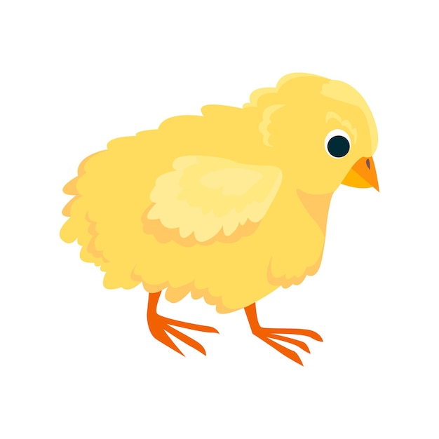 Vektor huhn flaches symbol farbiges vektorelement aus der vogelsammlung kreatives huhn-symbol für webdesign-vorlagen und infografiken