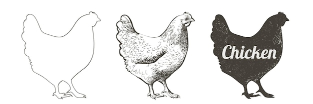 Huhn henne vogel geflügel masthähnchen nutztierfütterung vintage osterkarte ei verpackungsdesign realistische skizze linie silhouette gravur illustration