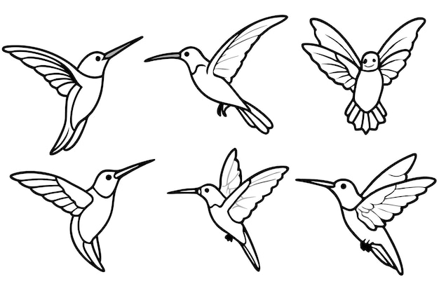 Hummingbird-Linienkunst
