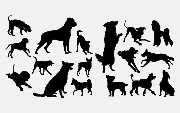 Hund aktion silhouette