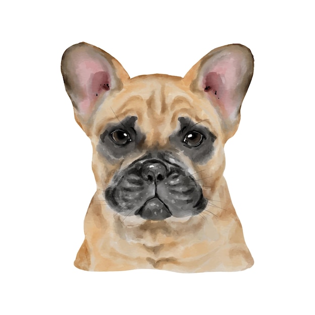 Hund französische bulldogge aquarellmalerei entzückendes welpentier isoliert auf weißem hintergrund realistische niedliche hundeportrait-vektorillustration