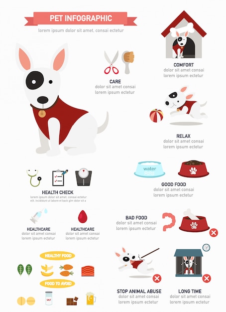 Hund infographic, informatives plakat bereit zu drucken