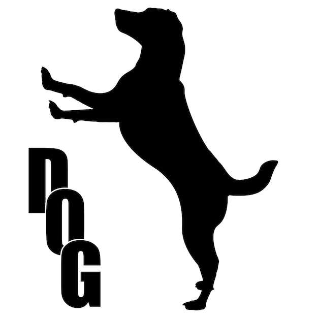 Hund springende silhouette