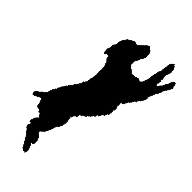 Vektor hunde-silhouette boykin spaniel hunde-rassen logo hund monogram hund gesichtsvektor hund sitzend liegend laufend