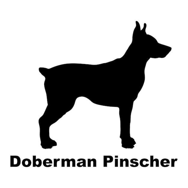 Vektor hunde-silhouette doberman pinscher hunde-rassen logo monogramm vektor