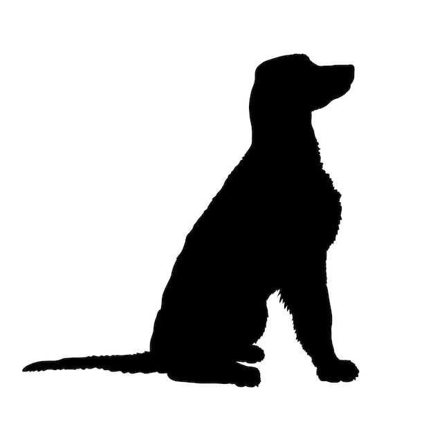 Vektor hunde-silhouette irischer setter hunde-rassen logo hund monogram hund gesichtsvektor hund sitzend liegend laufend