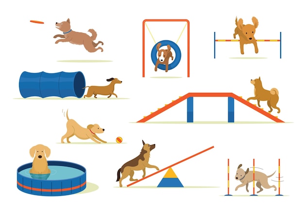 Hunde spielen auf dem Spielplatz mit Ausrüstungsset