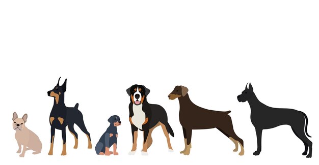 Hunde verschiedener rassen im flachen design isolierter vektor