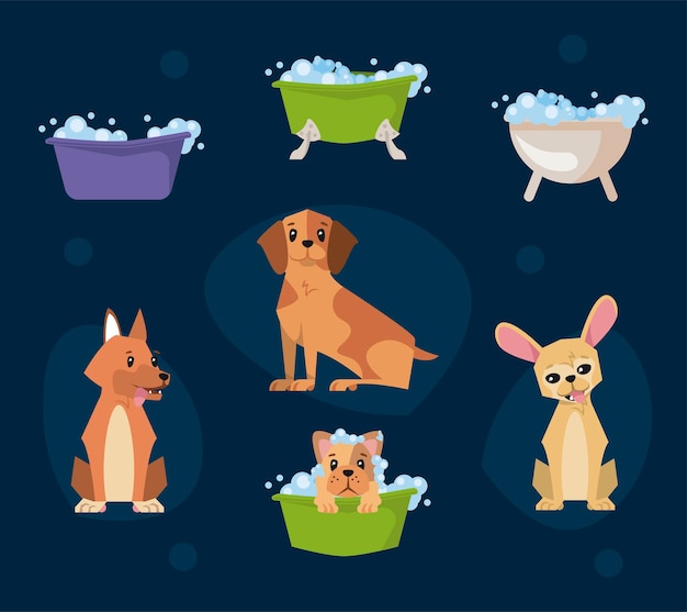 Hundekarikaturen, die Sammlung baden