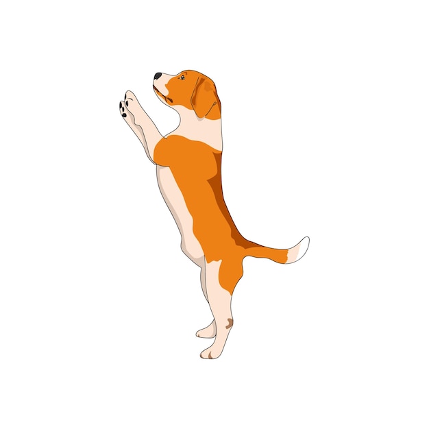 Hundevektor auf weißem Hintergrund