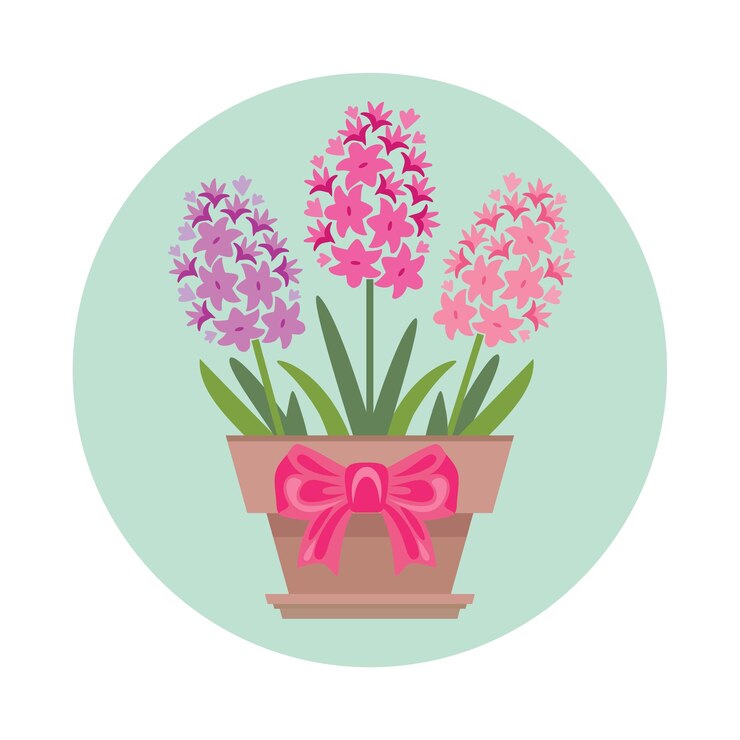 Vektor hyacinthblüten im topf