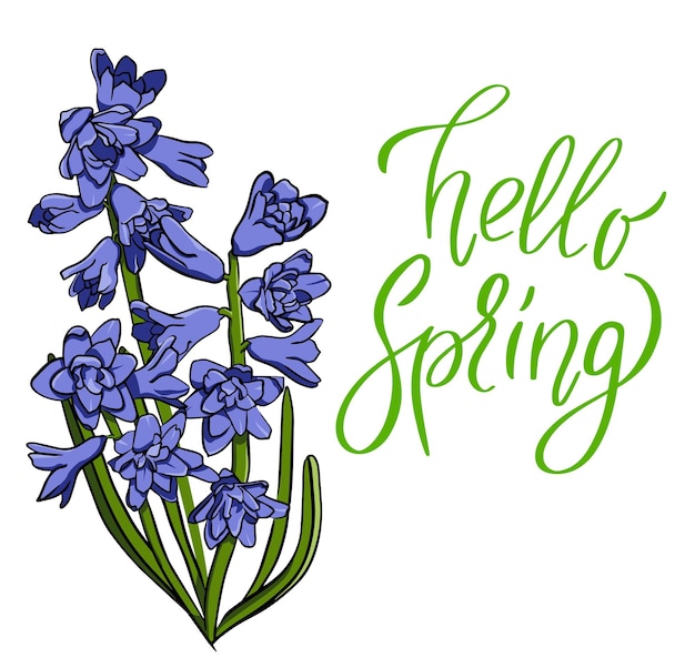 Hyazinthenblume handzeichnung blaue frühlingsblumenillustration hallo frühlingsbeschriftung