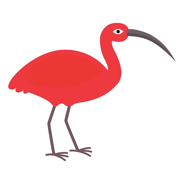 Ibis-vogel. roter vogel