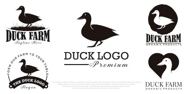 Icon-set ente logo design vektor