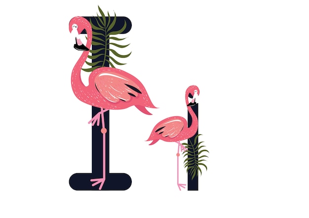 Vektor ii flamingos