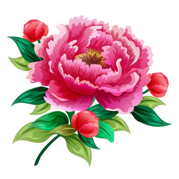 Ikon für die Blüte einer Pfingstrosenblüte