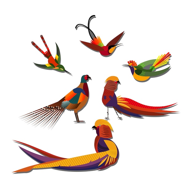 Ikonen von Vogelarten farbenfrohe Skizze modernes Design