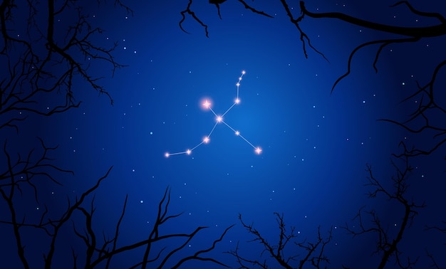 Illustration der cygnus-konstellation. äste, dunkelblauer sternenhimmel, kosmos