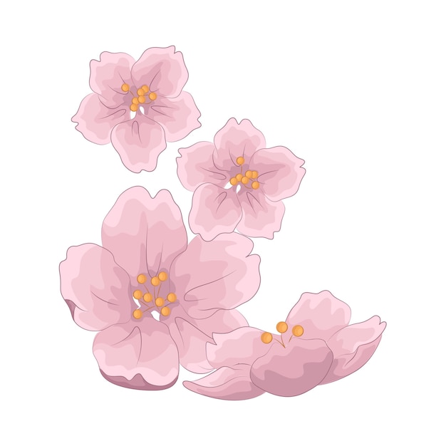 Vektor illustration der kirschblüte