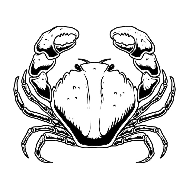 Illustration der krabbe im gravierstil isoliert auf weißem hintergrund gestaltungselement für posterkarten-emblem-banner-logo vektor-illustration