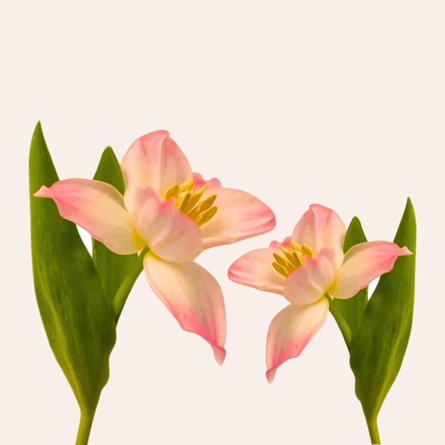 Illustration der Kunst