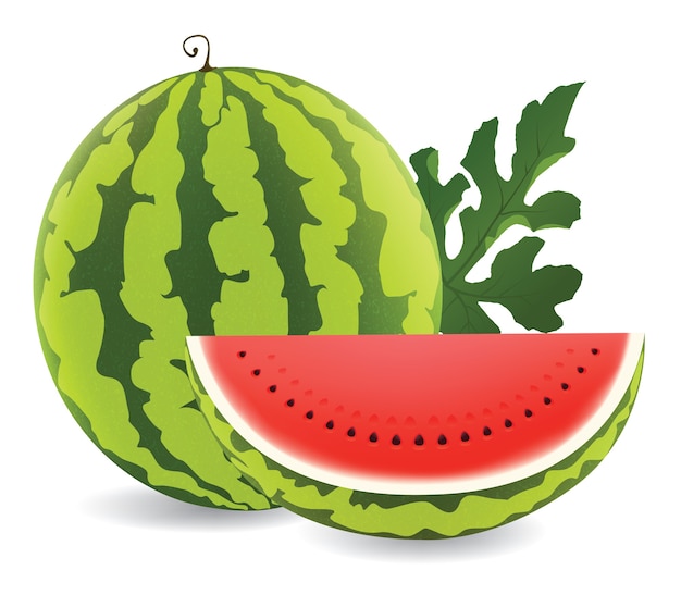 Illustration der saftigen wassermelone