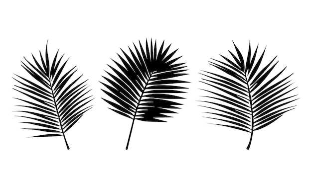 Illustration der Silhouette von Palmblättern