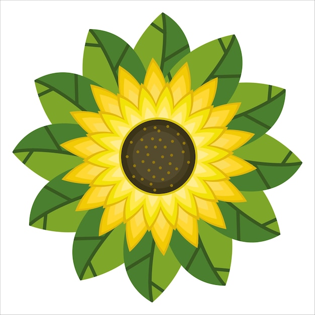 Illustration der sonnenblume