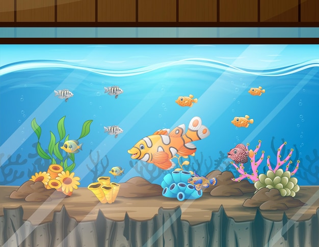 Illustration des aquariums mit fischalgen und koralle