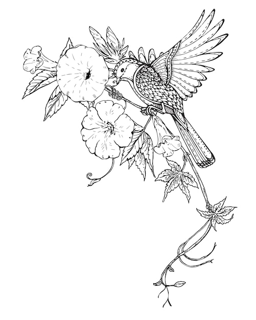 Illustration des handgezeichneten grafikvogels auf bindekrautblumenzweig