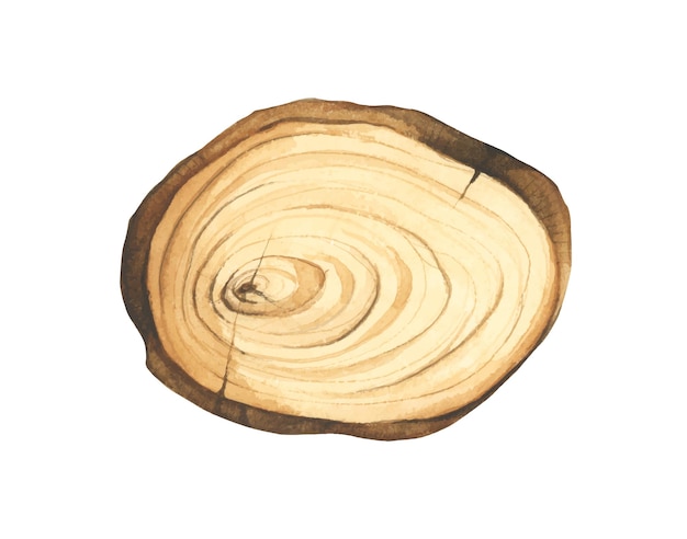 Illustration einer Holzscheibe. Holzschild. Baumstamm-Querschnitt. Aquarell-Stil