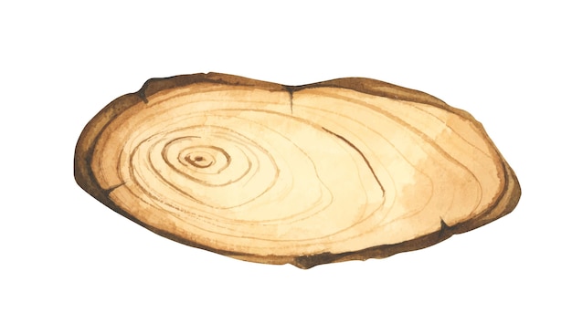Illustration einer Holzscheibe. Holzschild. Baumstamm-Querschnitt. Aquarell-Stil